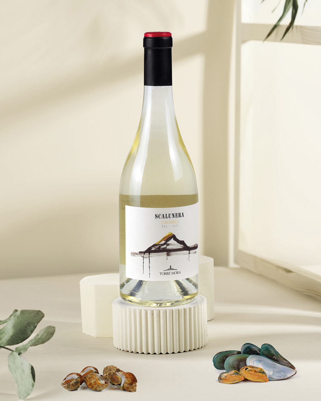 Scalunera bianco - ok