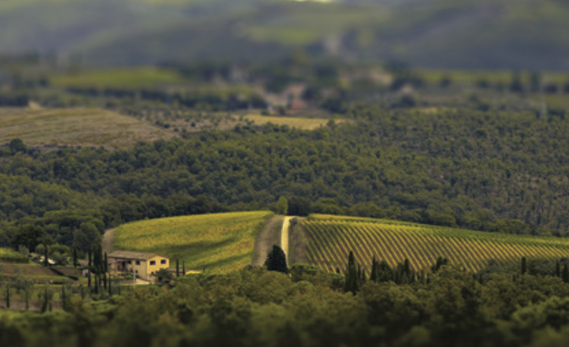 Brochure - GEOGRAFICO