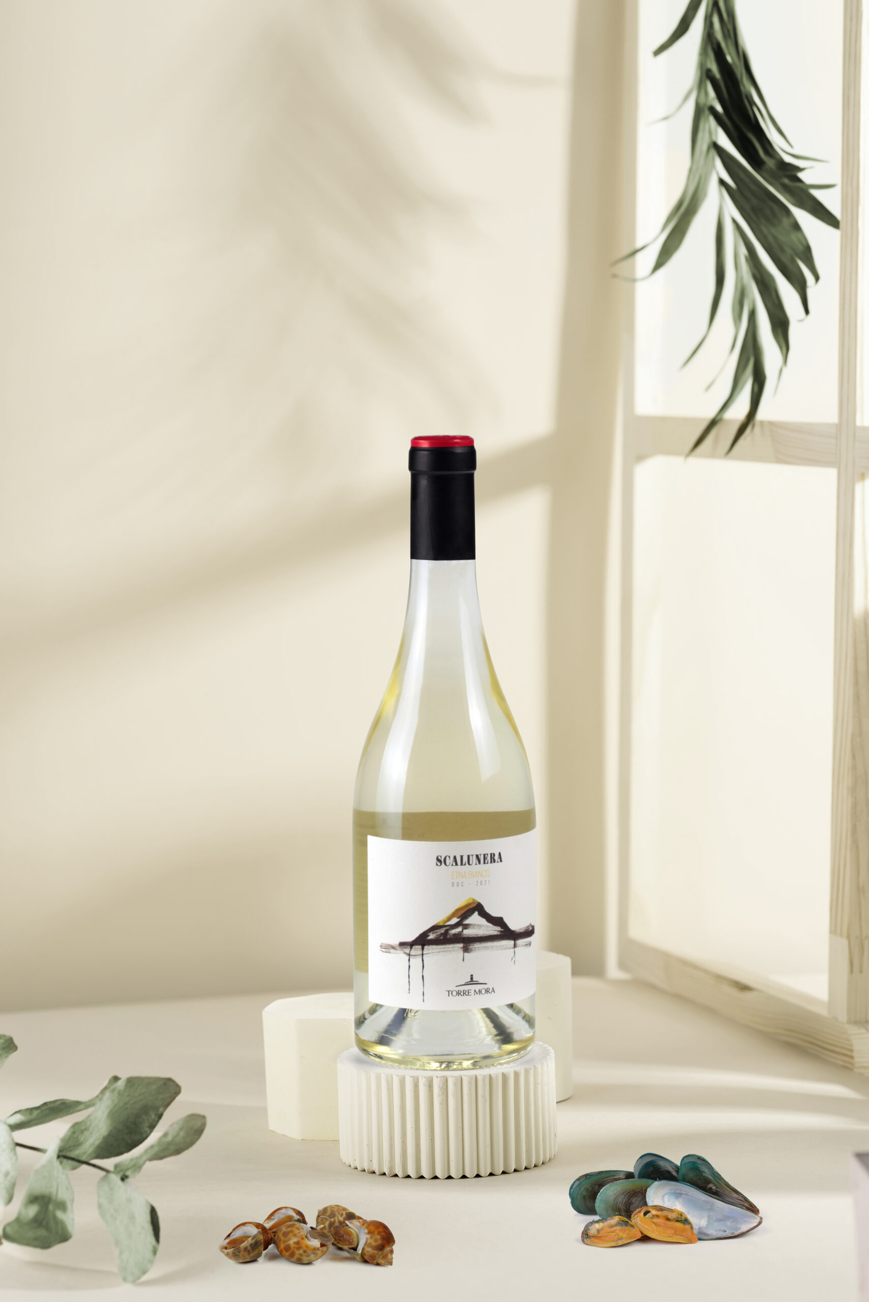 Set of different geometric shapes as empty pedestals on pastel background. Mockup for cosmetic, packaging, product presentation with tropical leaf shadow.