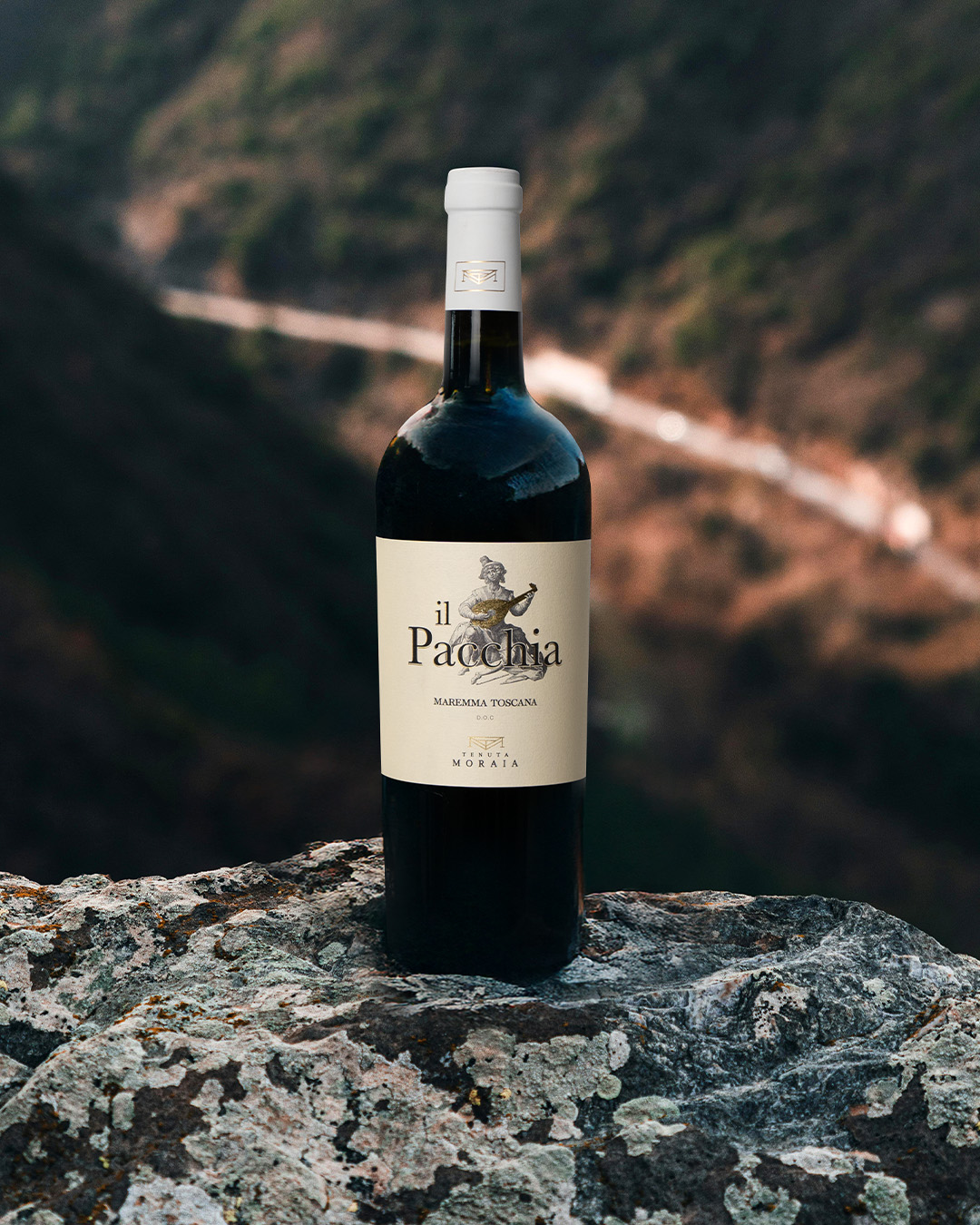 Tenuta moraia - Il pacchia