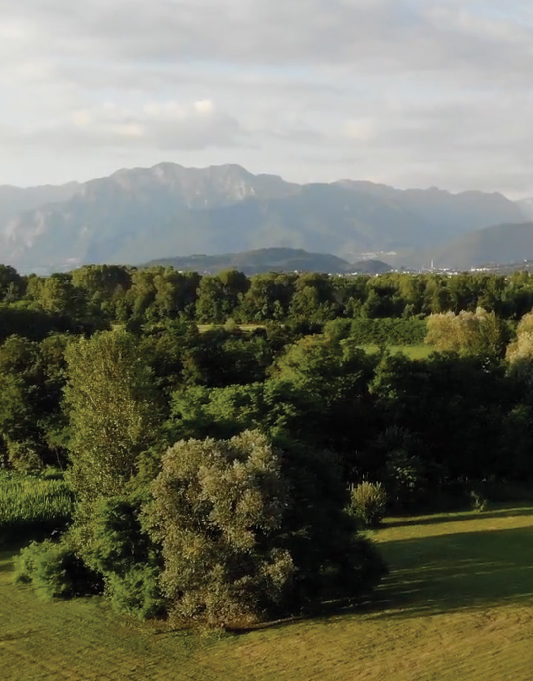 Screenshot 2026-02-03 alle 11.42.24