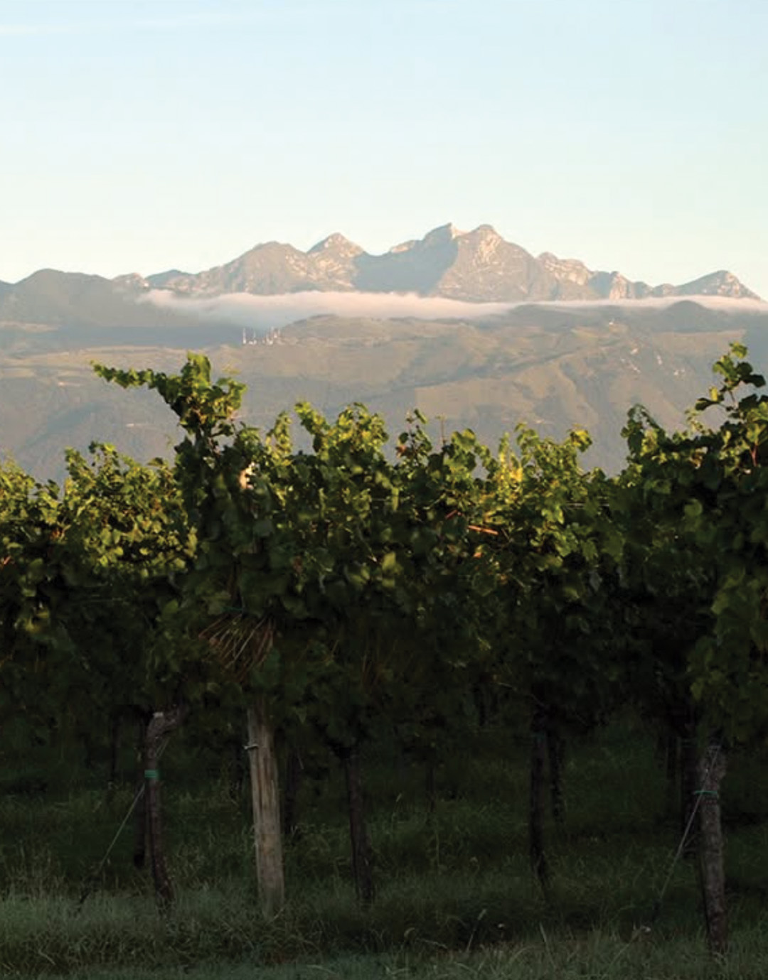 Screenshot 2026-02-03 alle 11.54.03